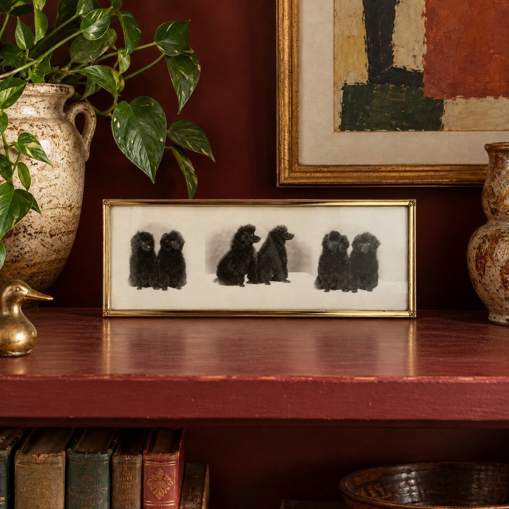 Vintage Framed Black Poodle Art, Gold Frame, Retro Dog Gallery Wall Decor